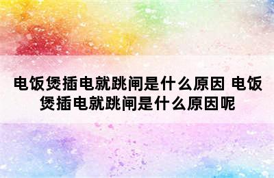 电饭煲插电就跳闸是什么原因 电饭煲插电就跳闸是什么原因呢